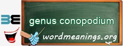 WordMeaning blackboard for genus conopodium
